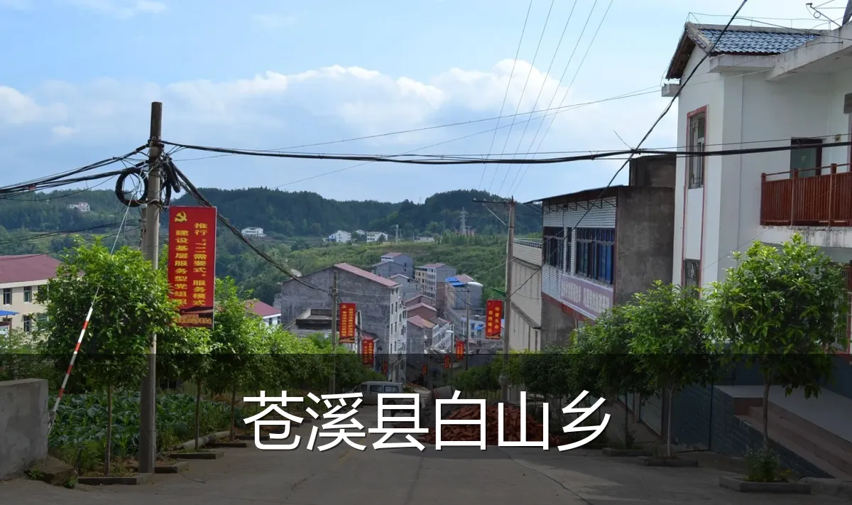 苍溪县白山乡