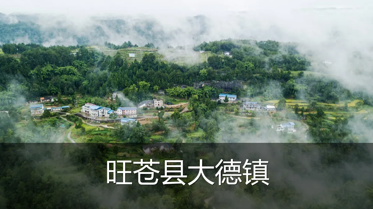 旺苍县大德镇