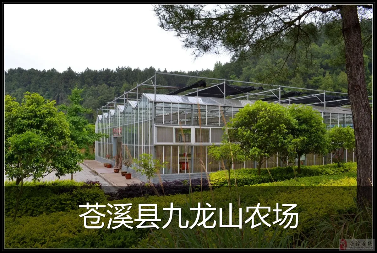 苍溪县九龙山农场