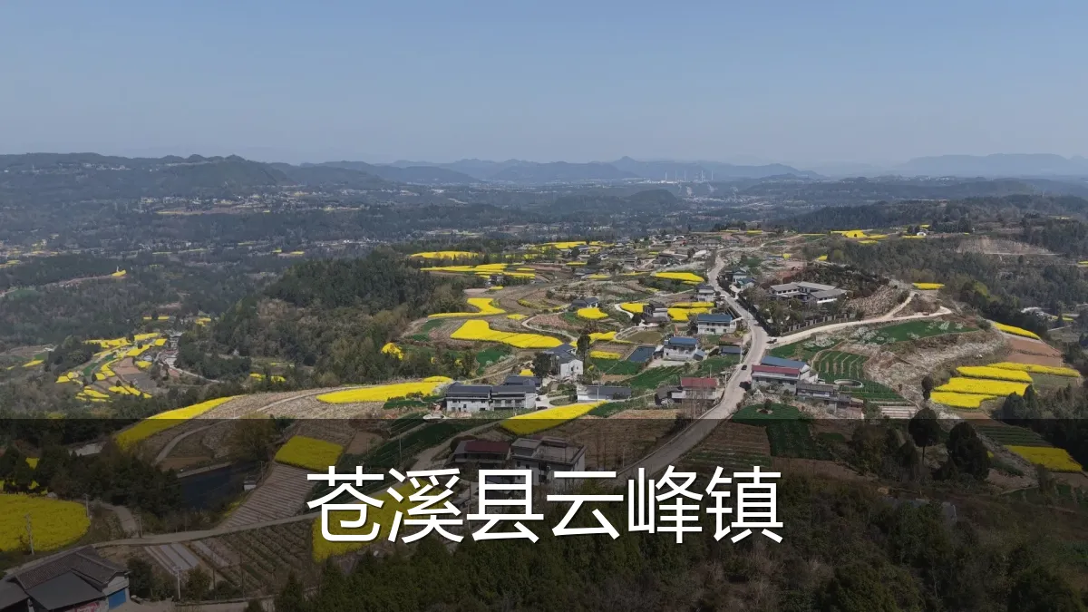 苍溪县云峰镇