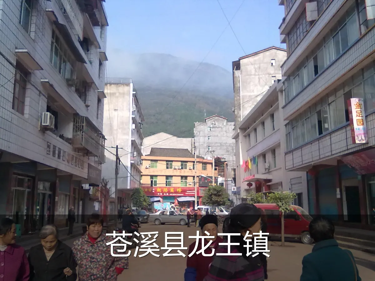 苍溪县龙王镇