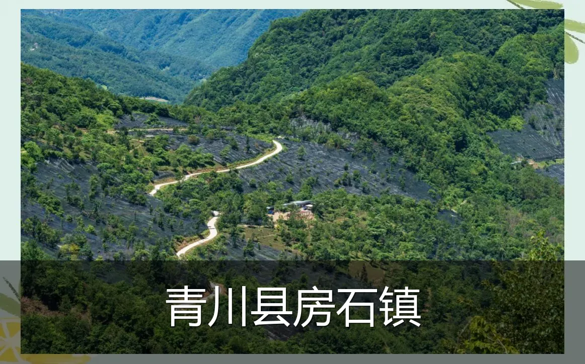 青川县房石镇