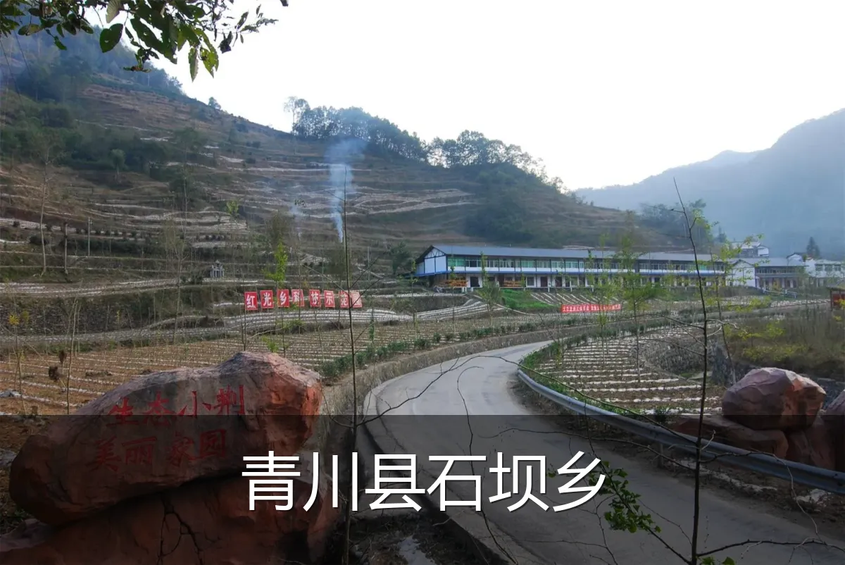 青川县石坝乡