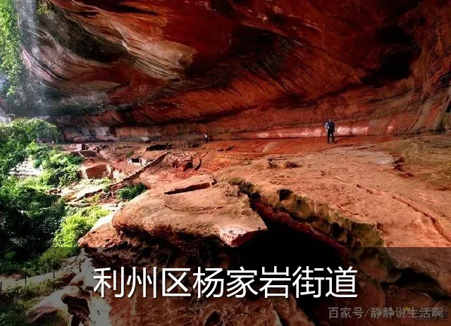 利州区杨家岩街道