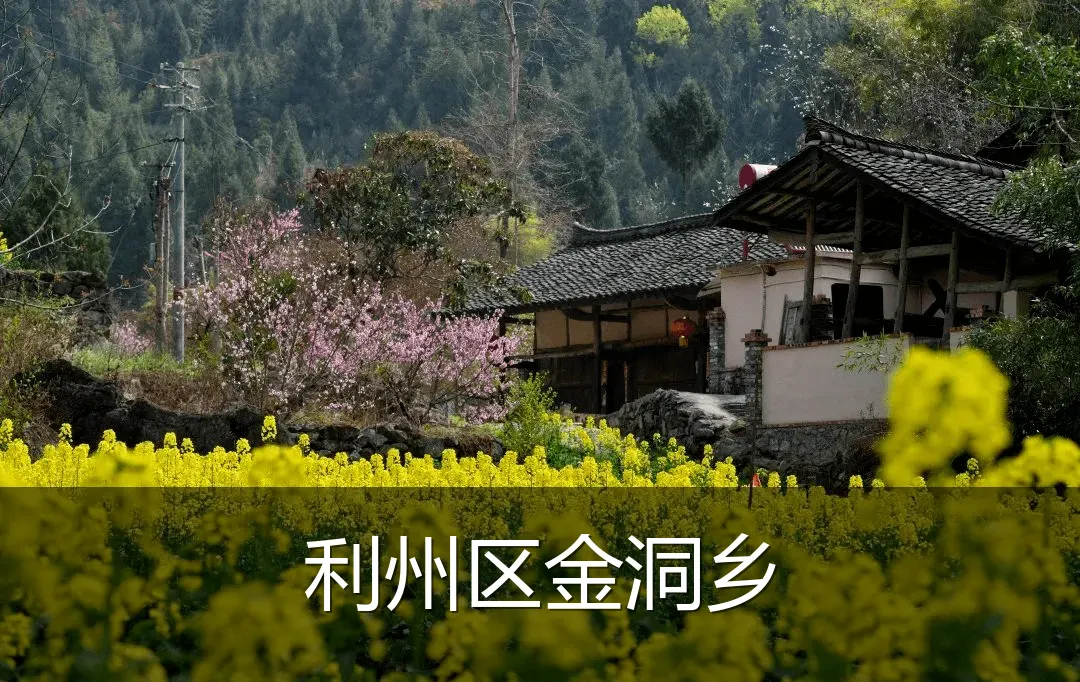 利州区金洞乡