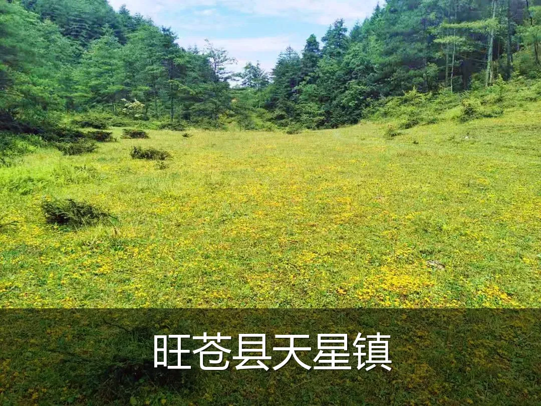 旺苍县天星镇