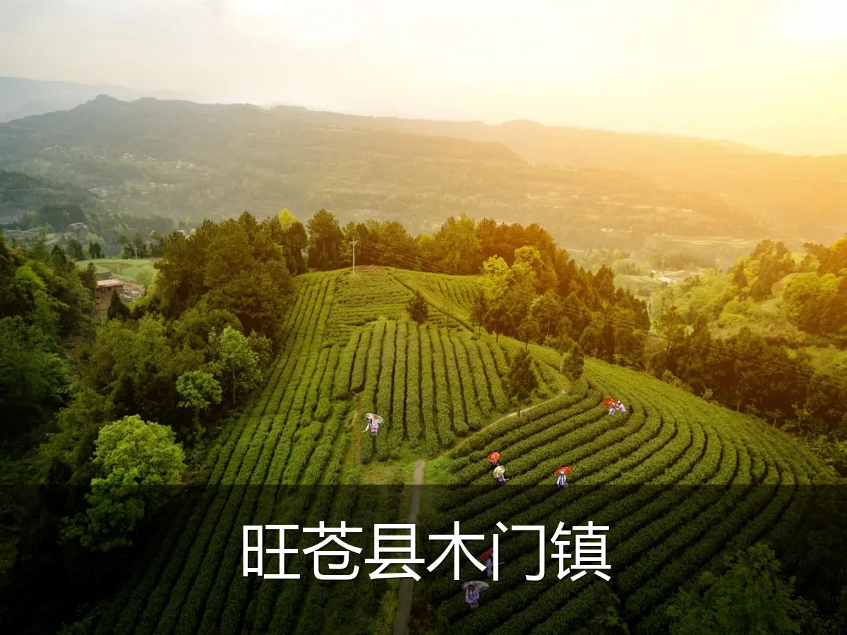 旺苍县木门镇