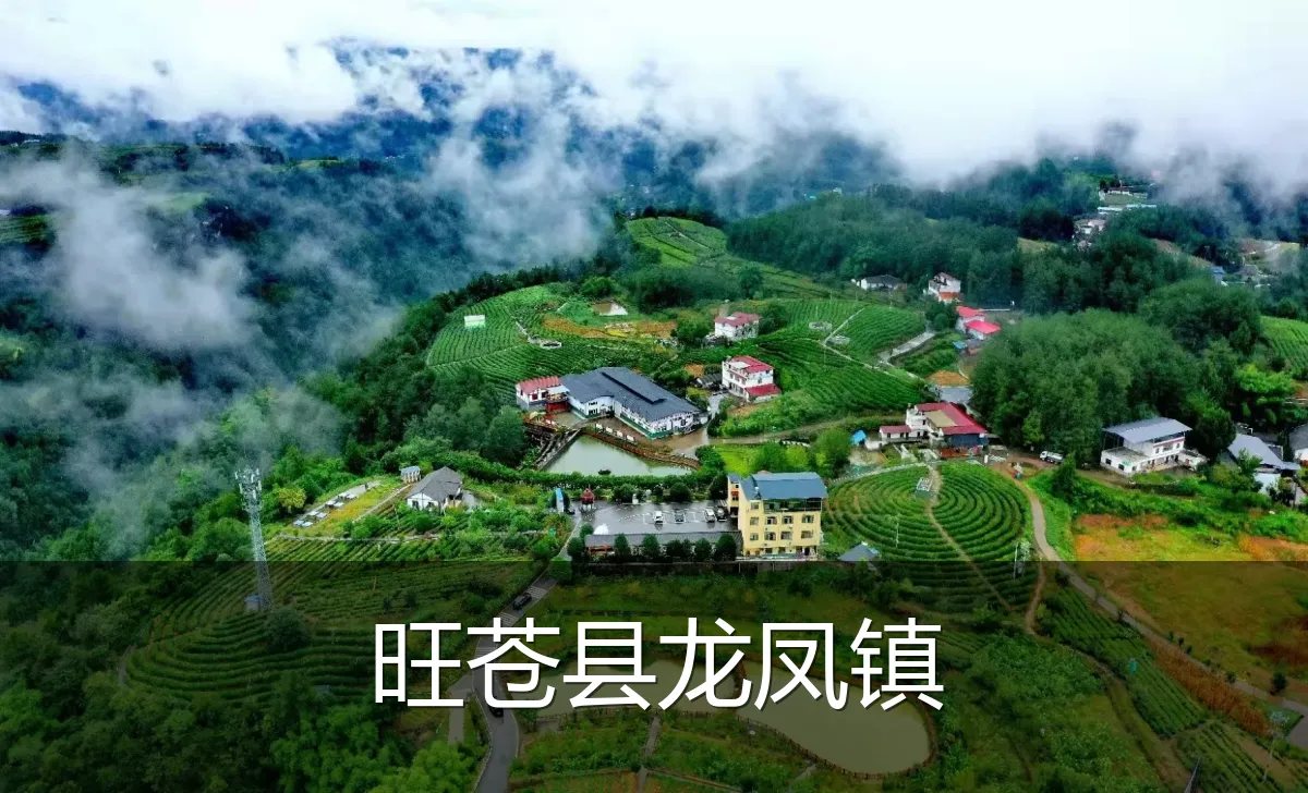 旺苍县龙凤镇