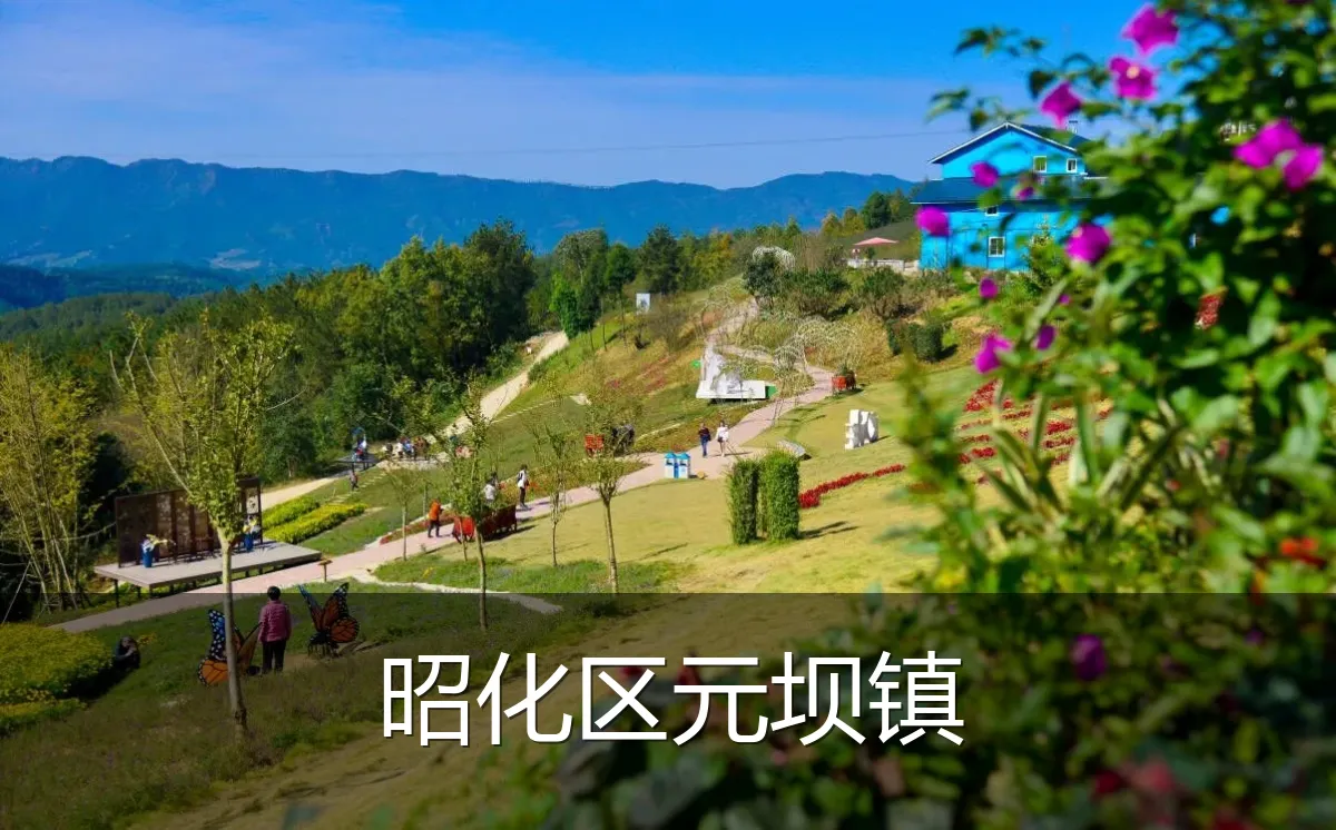 昭化区元坝镇