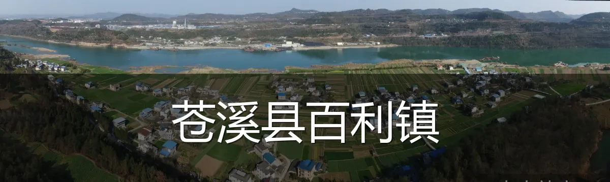 苍溪县百利镇