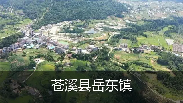 苍溪县岳东镇