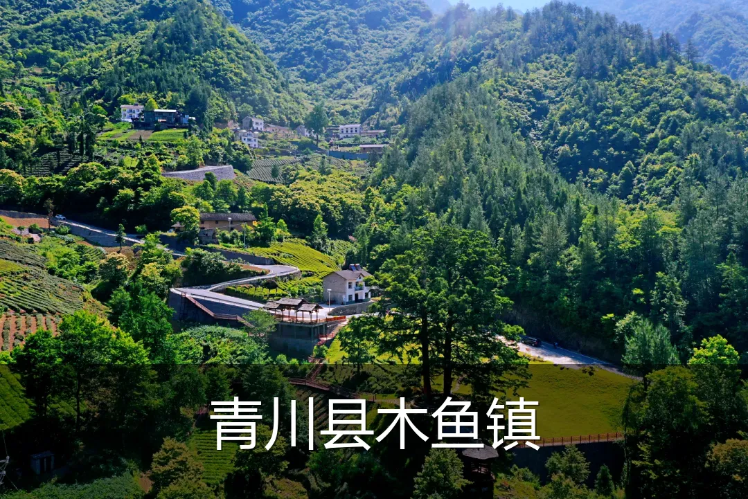 青川县木鱼镇